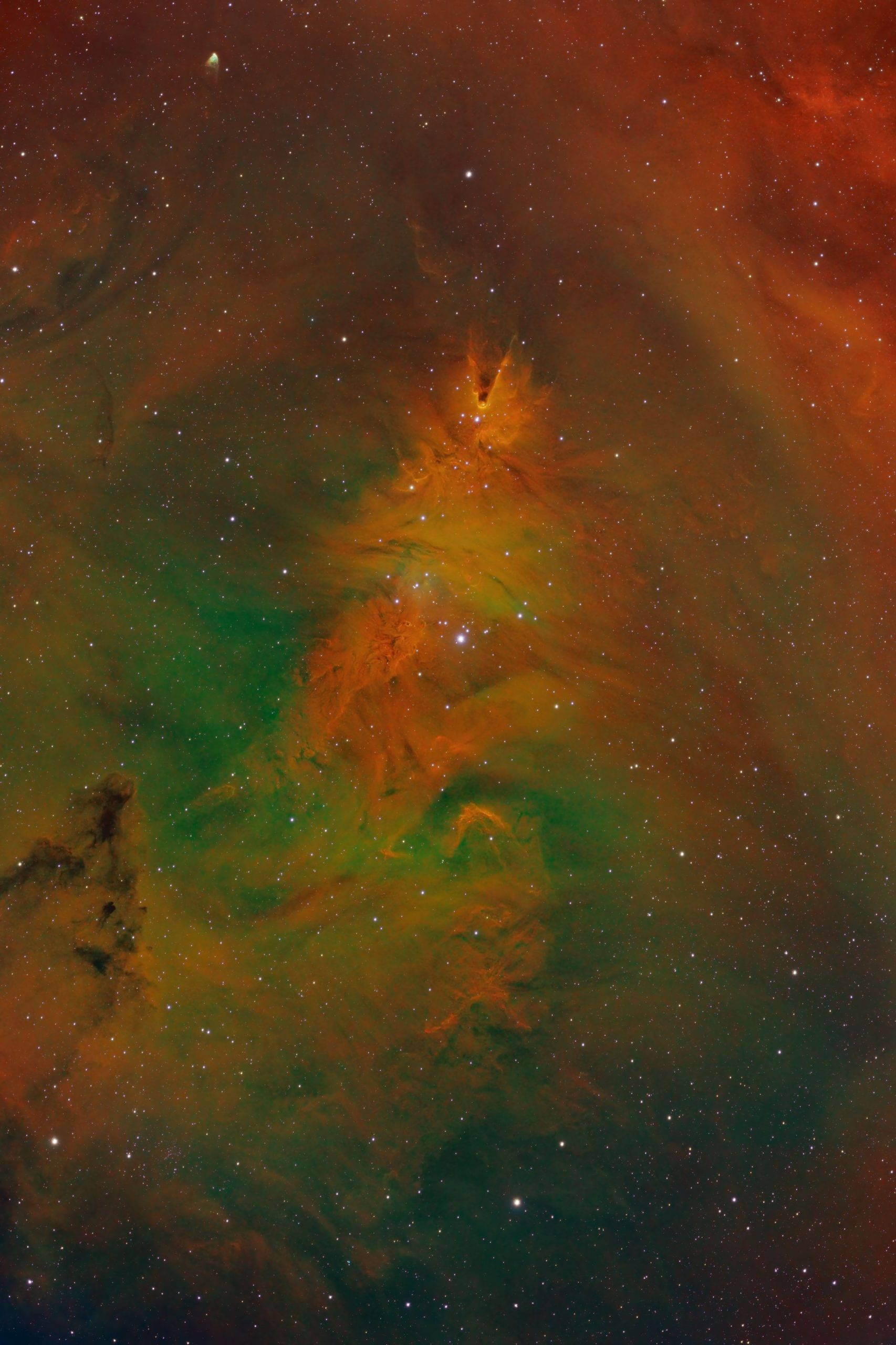 NGC2264
